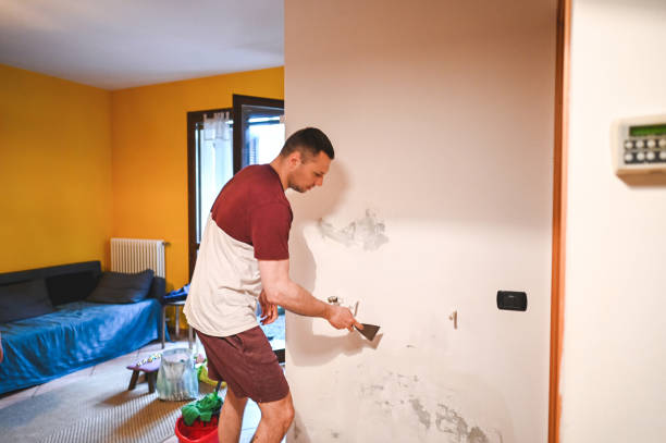 Best Bathroom Mold Remediation in Newburgh Heights, OH